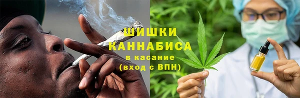 хмурый Лиски
