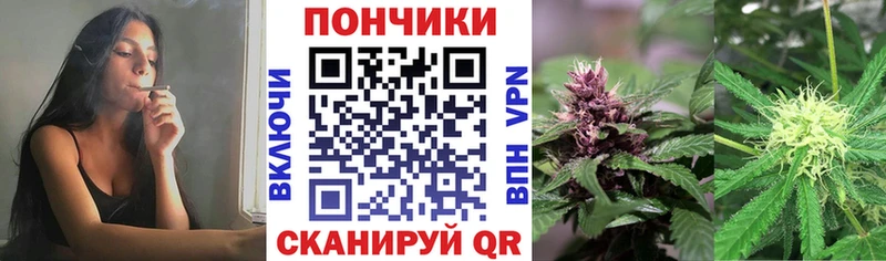 где можно купить наркотик  Нижняя Тура  Бошки марихуана сатива 